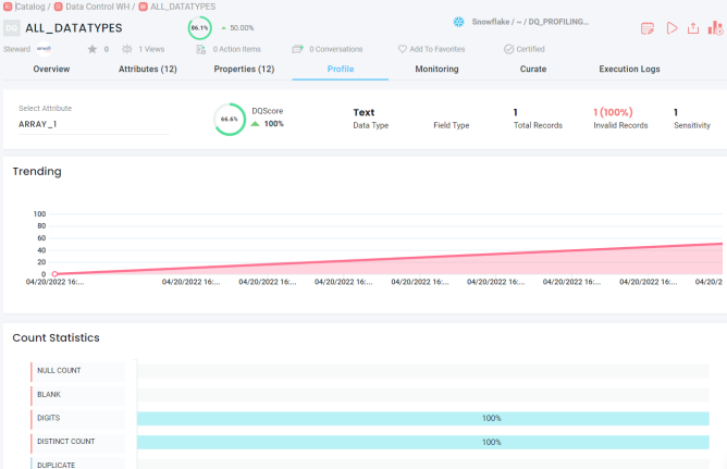 Run Data Profiling