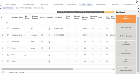 Data Profiling Complete