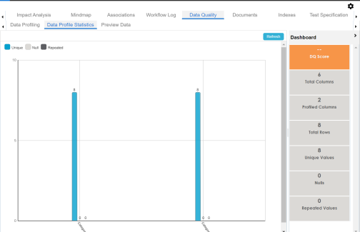 Data Profiling Statistics
