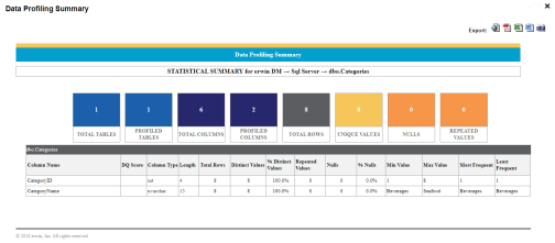 Data Profiling Summary
