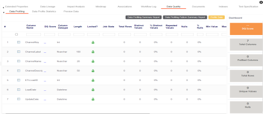 Data Quality Profile