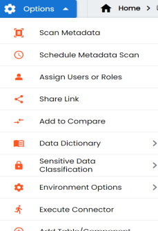 Metadata Enironment All Options