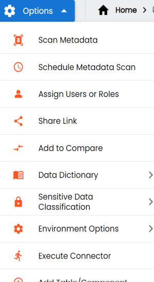 Metadata Enironment All Options