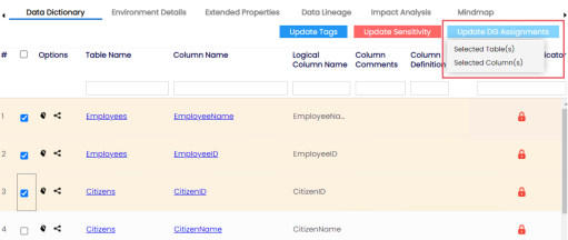 Metadata Update Dg Tables
