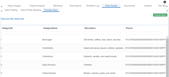 Preview Data Table