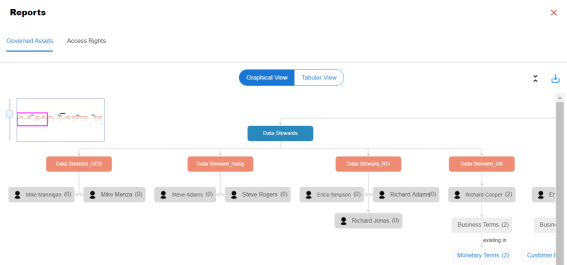 Reports Viewing Governed Assets