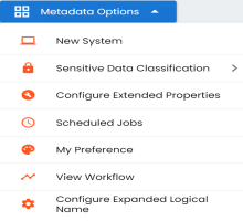 Using Metadata Options