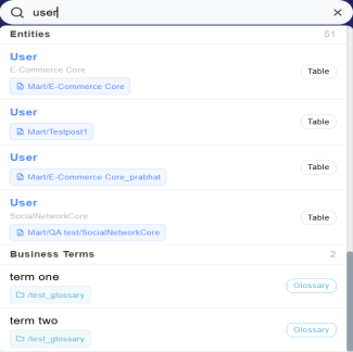 Semantic search showing entities and business terms for users
