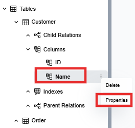 Customer table Name column selected in Model Explorer with the Properties option