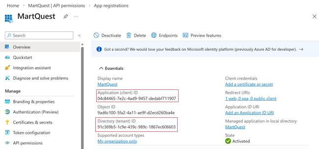 Overview page displaying cleint ID and tenant ID